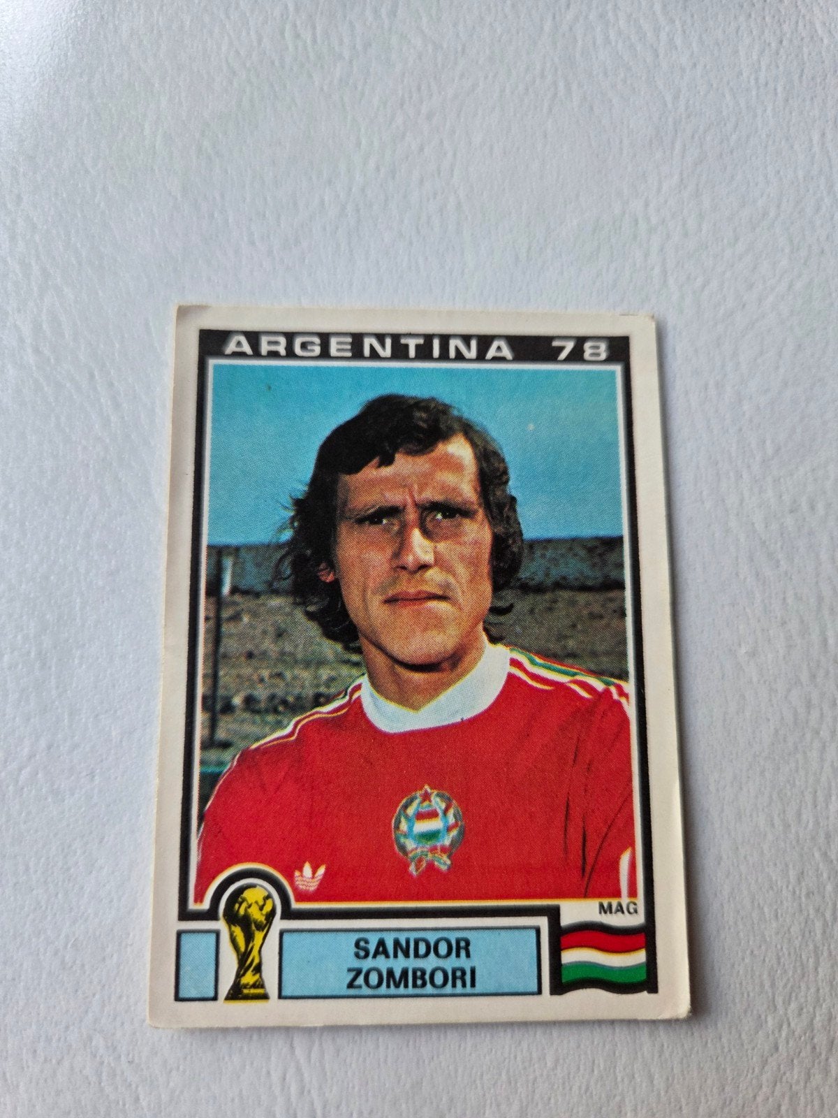Panini WK 78, Verzamelen, Ophalen of Verzenden, Zo goed als nieuw, Buitenlandse clubs, Poster, Plaatje of Sticker
