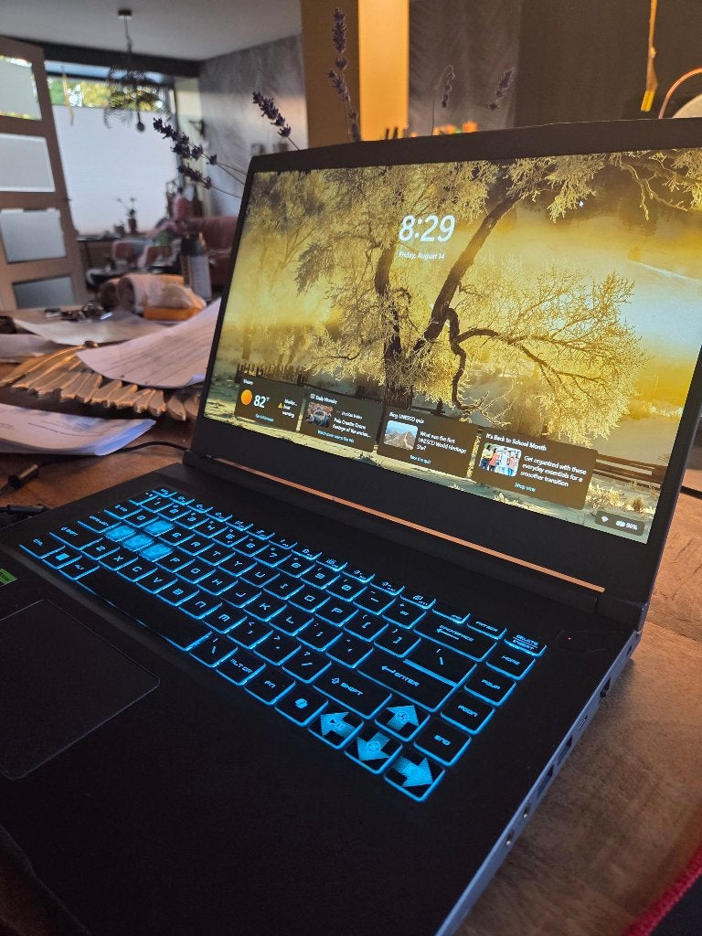 Laptop (Msi thin 15 b13uc) gaming laptop, MSI, Zo goed als nieuw, Gaming, SSD