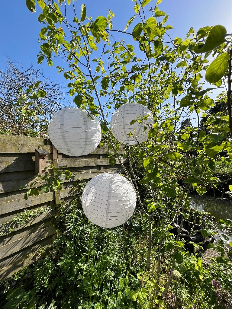 Witte lampionnen 25 stuks, Ophalen of Verzenden, Zo goed als nieuw, Versiering, Geboorte of Huwelijk