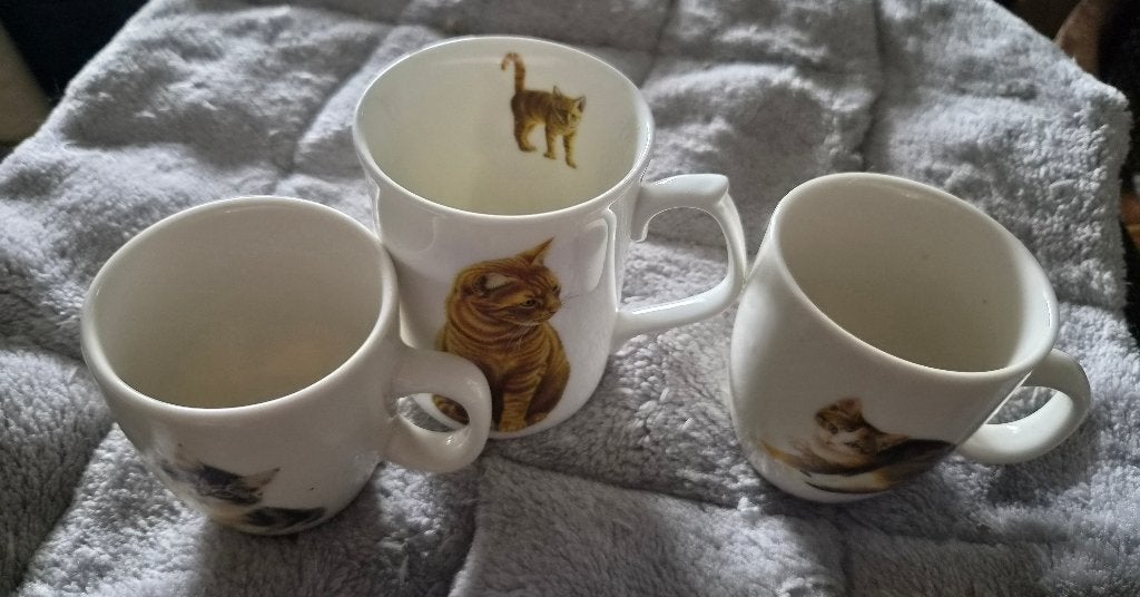 Franciens katten mokken, Ophalen of Verzenden, Zo goed als nieuw, Overige stijlen, Kop(pen) en/of Schotel(s)