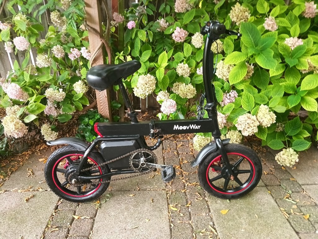 Electrische vouwfiets, Fietsen en Brommers, Fietsen | Vouwfietsen, Ophalen, Gebruikt, Totaal opvouwbaar, 20 inch of meer