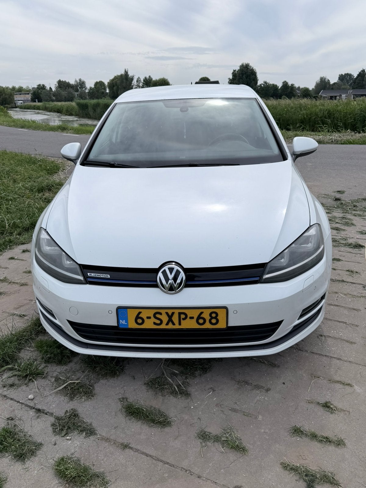 Volkswagen Golf 1.6 TDI 81KW 5D Blue Motion 2013 Wit, Voorwielaandrijving, Zwart, 4 cilinders, Wit