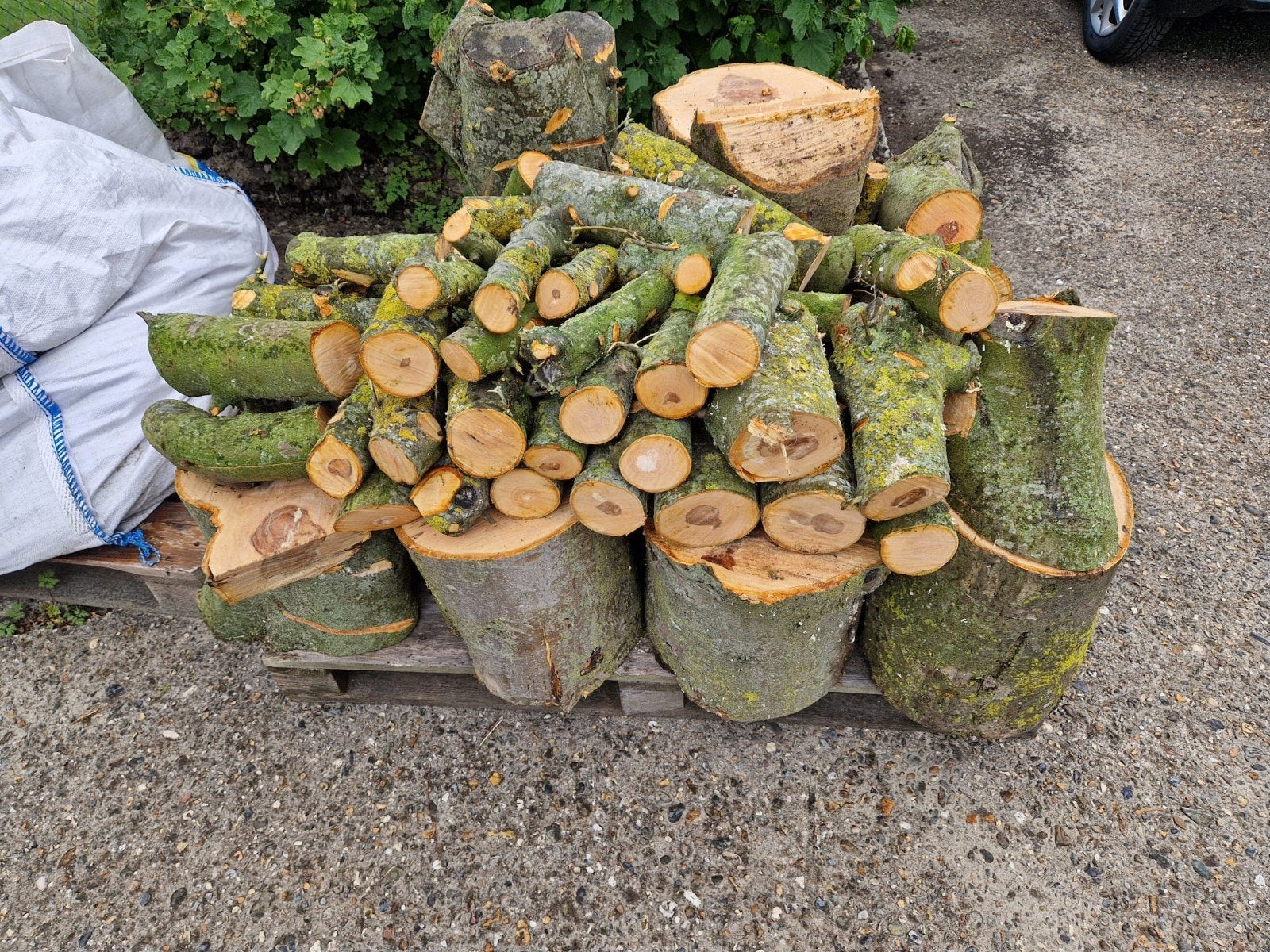 Haardhout appel appelboom gezaagd, op europallet, Minder dan 3 m³, Ophalen, Overige houtsoorten, Blokken