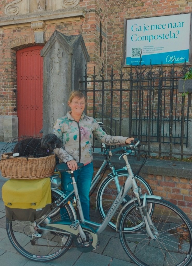 Hondenmand voor achter op de fiets in prima staat, Ophalen