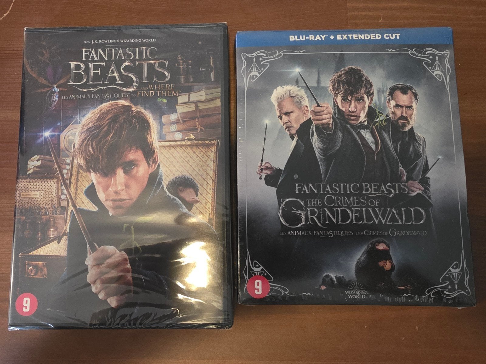 DVD's Fantastic Beasts 1 en 2, Vanaf 9 jaar, Ophalen of Verzenden, Nieuw in verpakking, Science Fiction en Fantasy