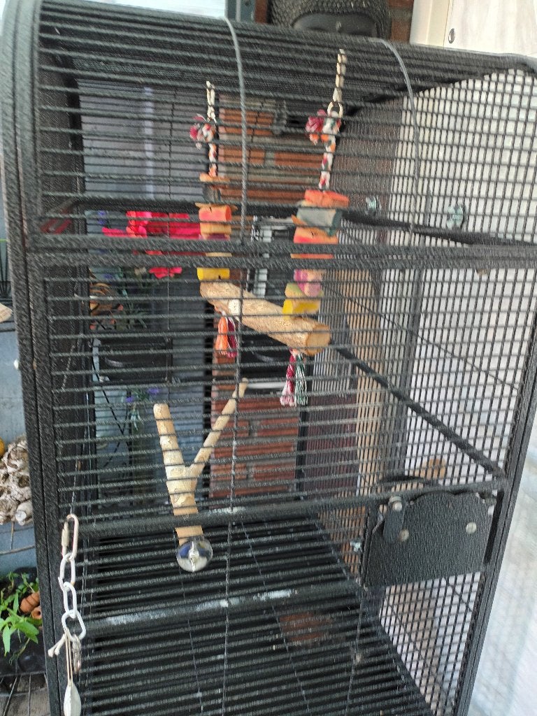 Grote vogelkooi, Ophalen, Gebruikt, Metaal, Vogelkooi