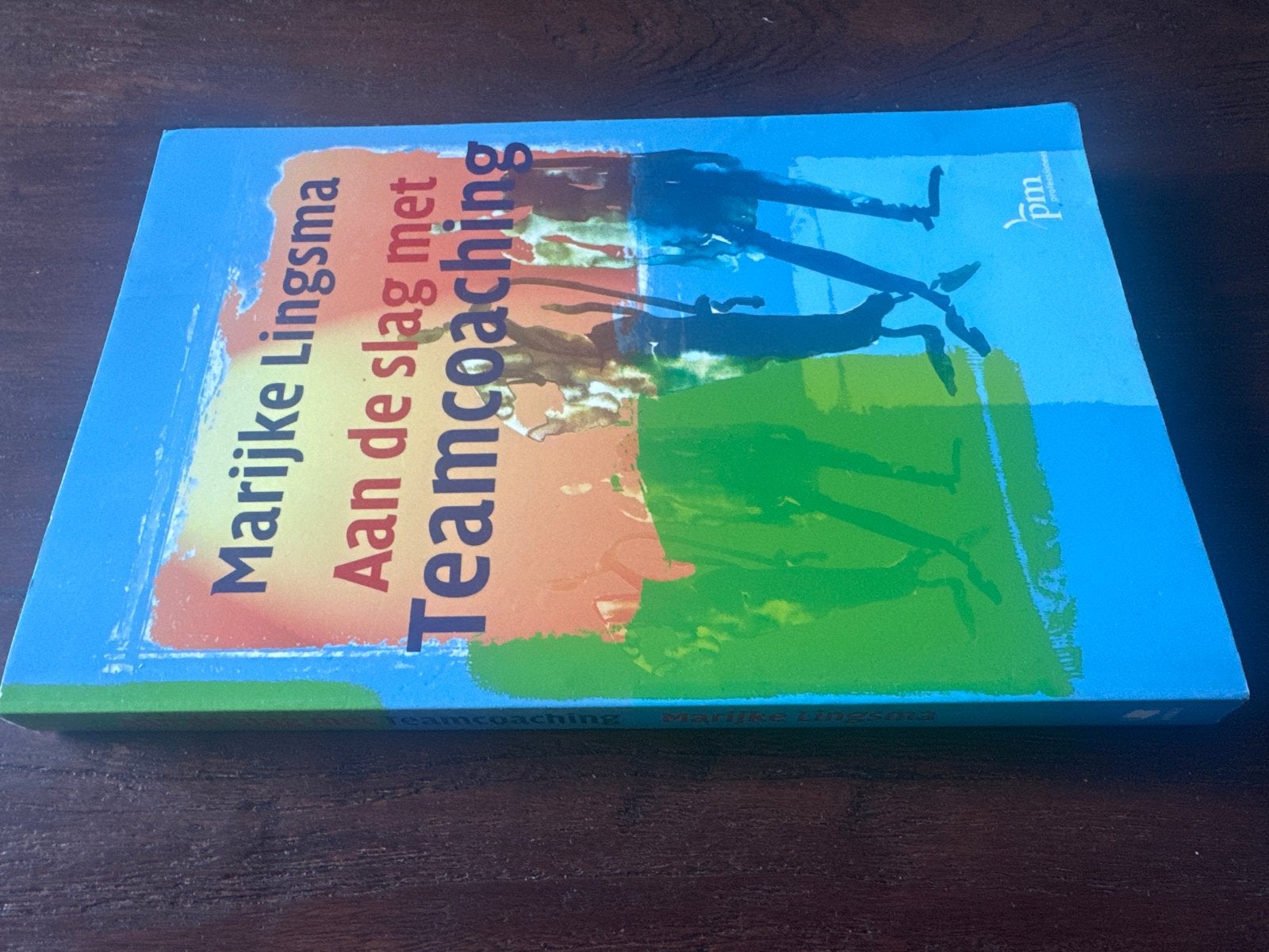 Aan de slag met Teamcoaching - Marijke Lingsma, Ophalen of Verzenden, Zo goed als nieuw