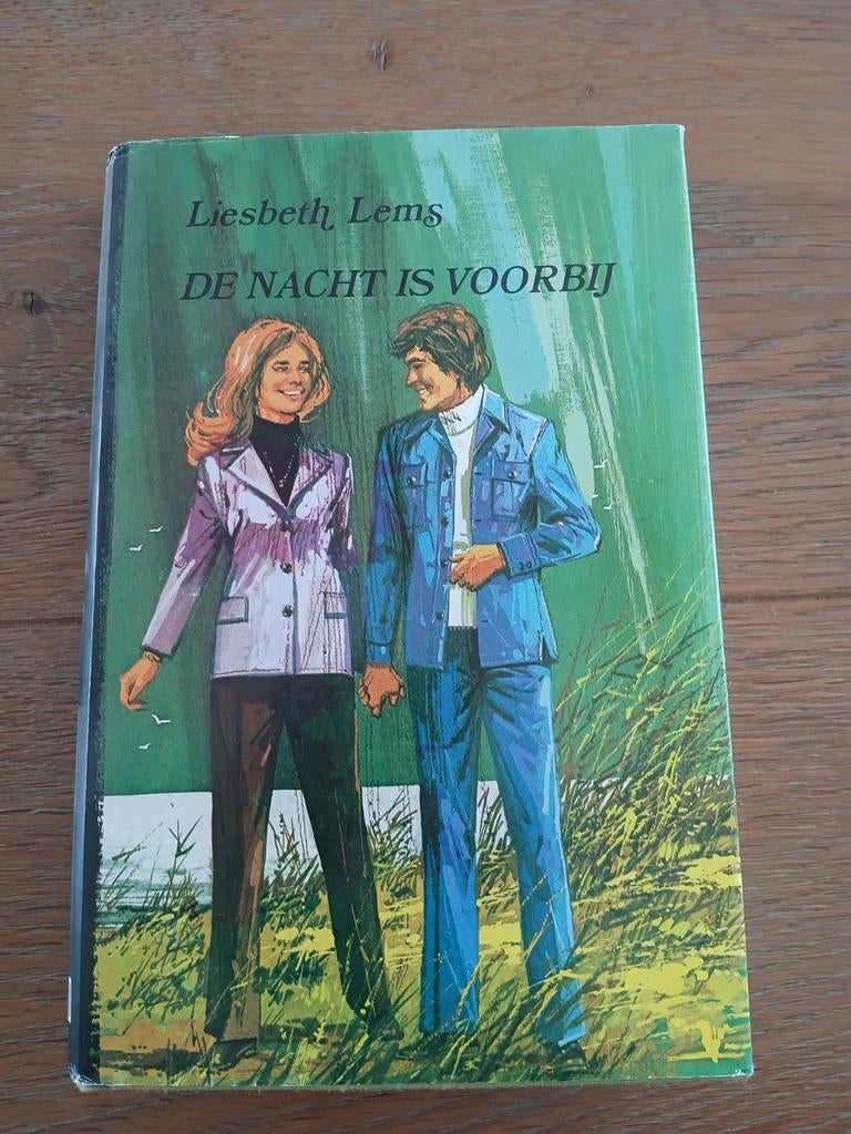 De nacht is voorbij - Liesbeth Lems (met afneembare kaft), Boeken, Ophalen, Gelezen
