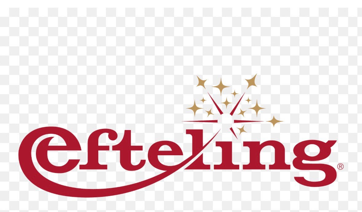 Efteling kaartje AH, Eén persoon, Ticket of Toegangskaart
