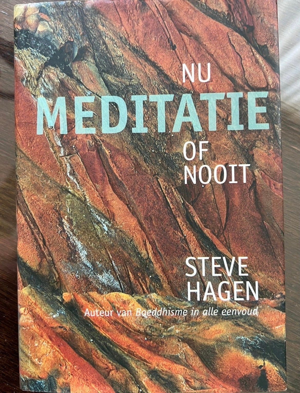 Nu Meditatie Of Nooit - Steve Hagen (Boeddhisme), Ophalen of Verzenden, Zo goed als nieuw, Meditatie of Yoga, Instructieboek