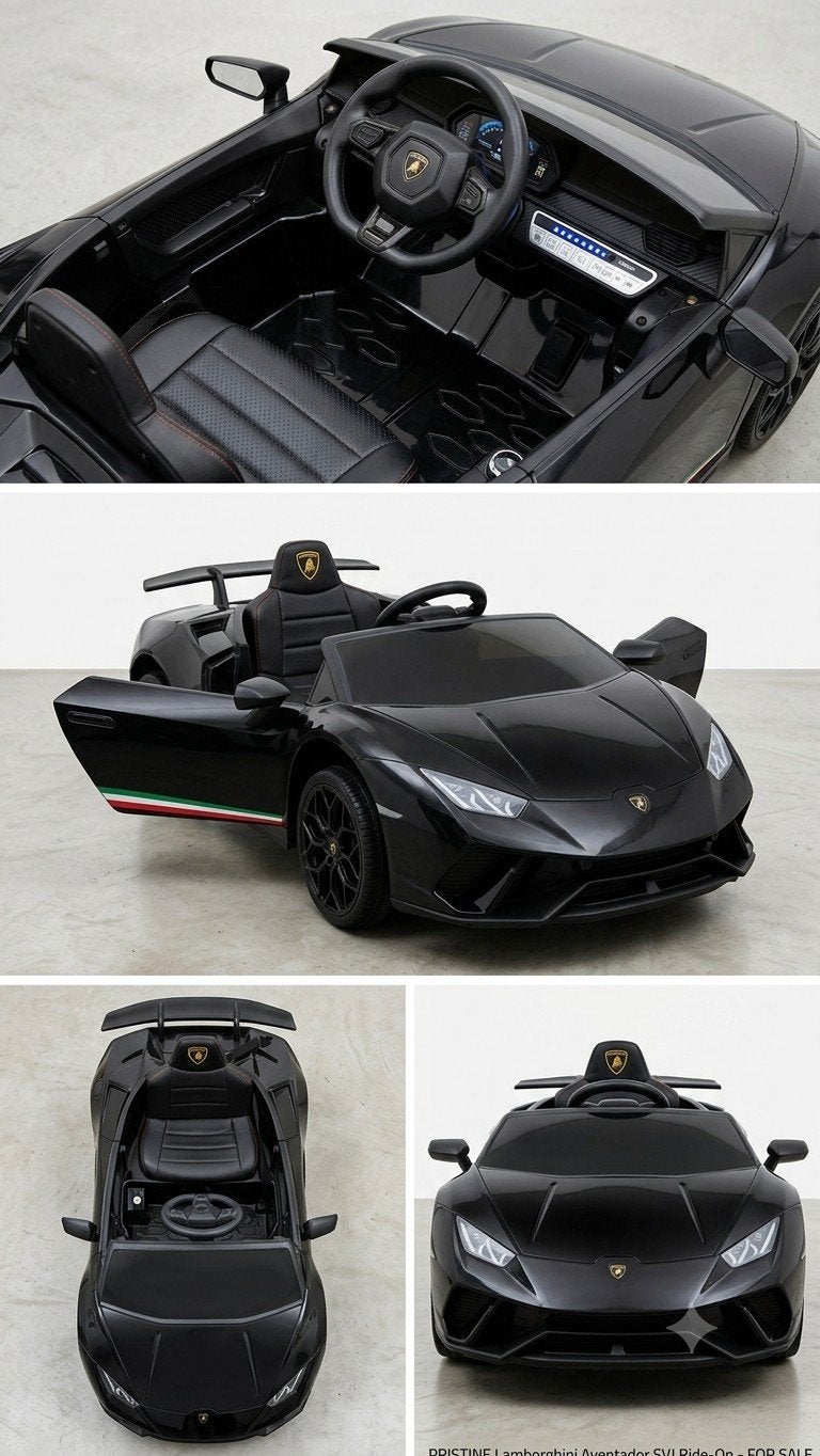 Lamborghini accu auto - Zwart, Ophalen, Gebruikt