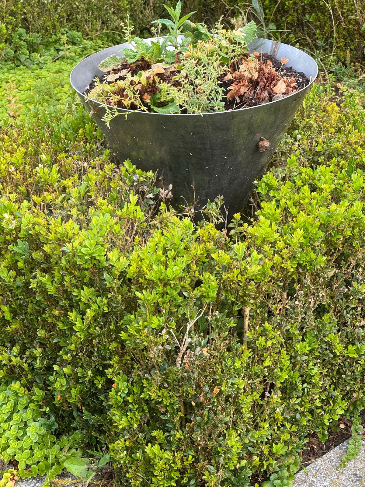 RVS bloembak 2st voor in de tuin, Tuin en Terras, Ophalen, Gebruikt, Minder dan 60 cm, Metaal