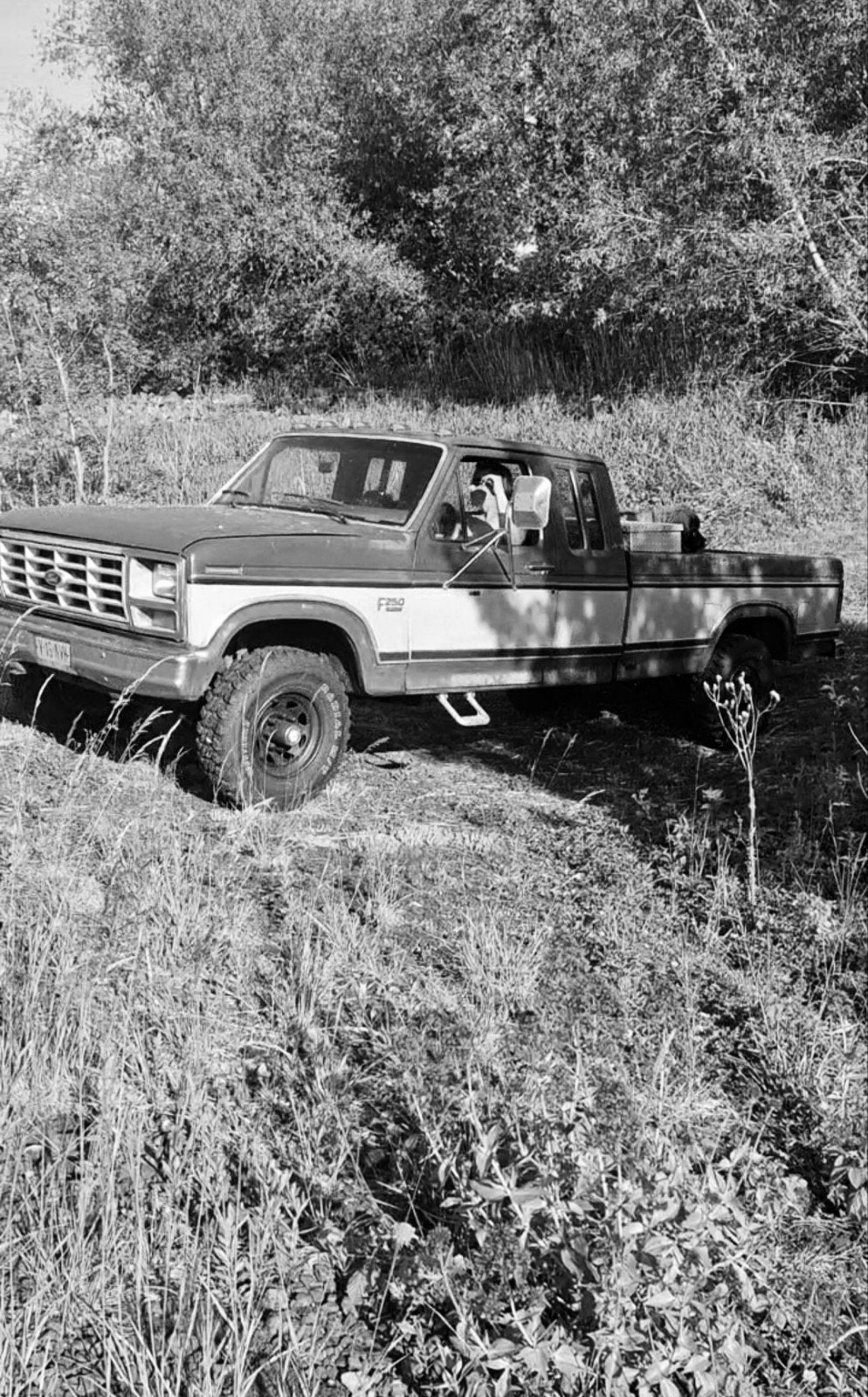 Ford f250 4x4 6.9 idi 3500 kg trekgewicht oldtimer, foto 2
