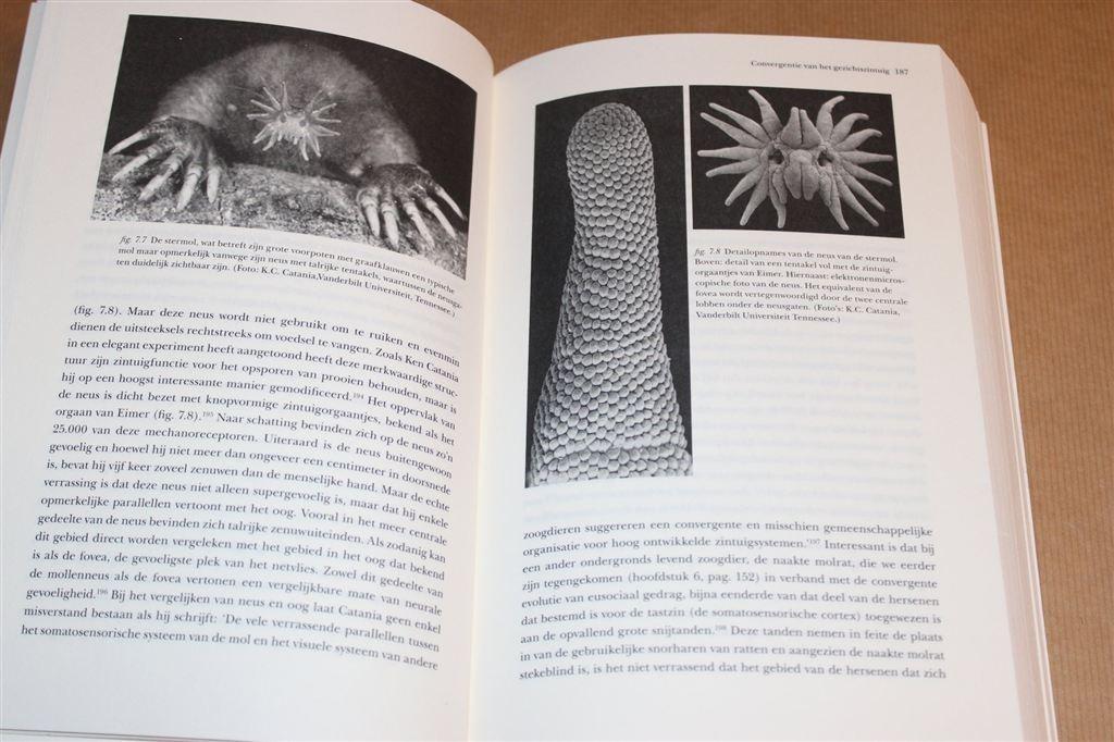 De Mens als Noodzakelijke Uitkomst van De Evolutie, Ophalen of Verzenden, Gelezen, Natuurwetenschap