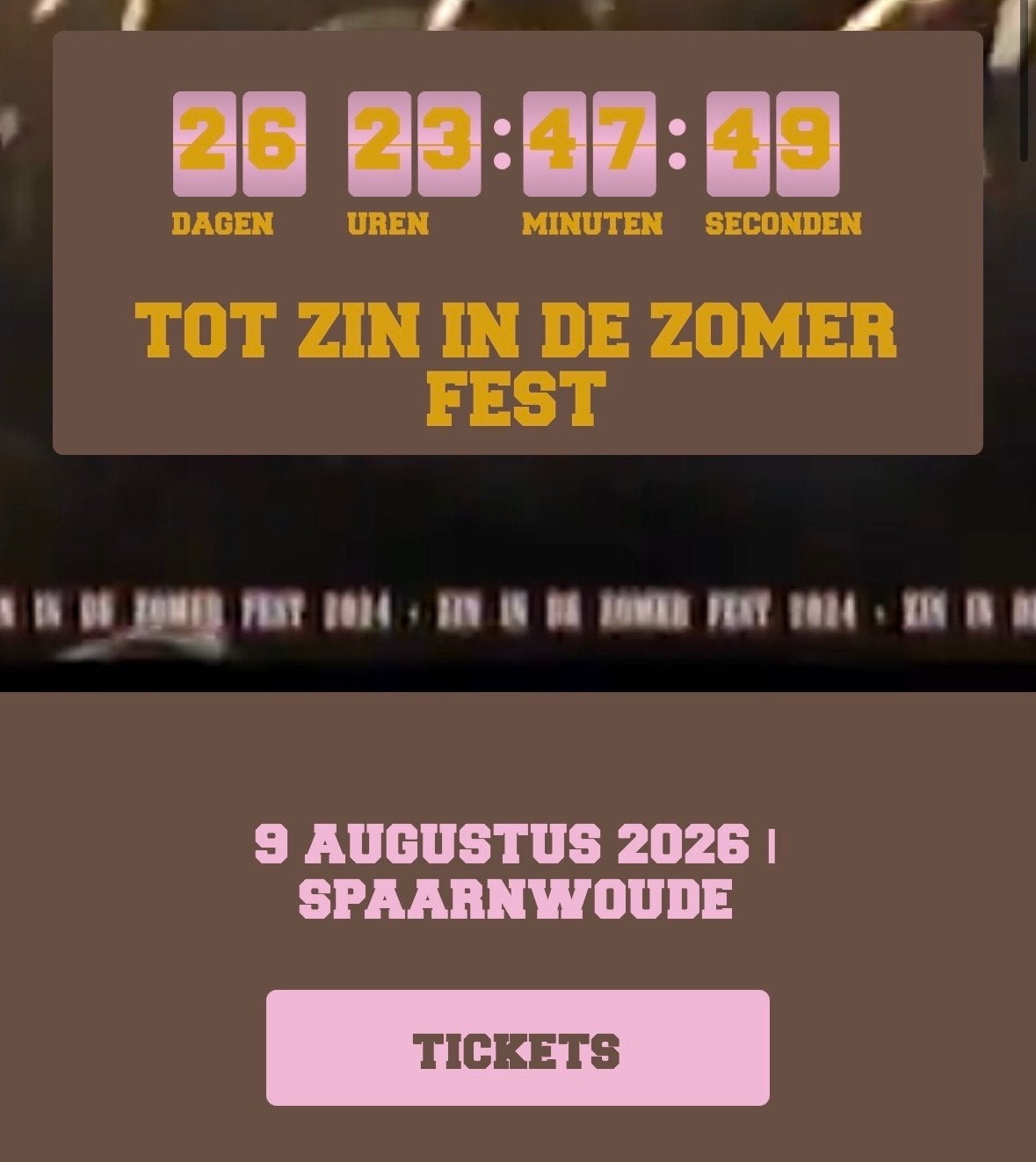 1x Zin in de Zomer fest ticket (direct in je mail!), Eén persoon