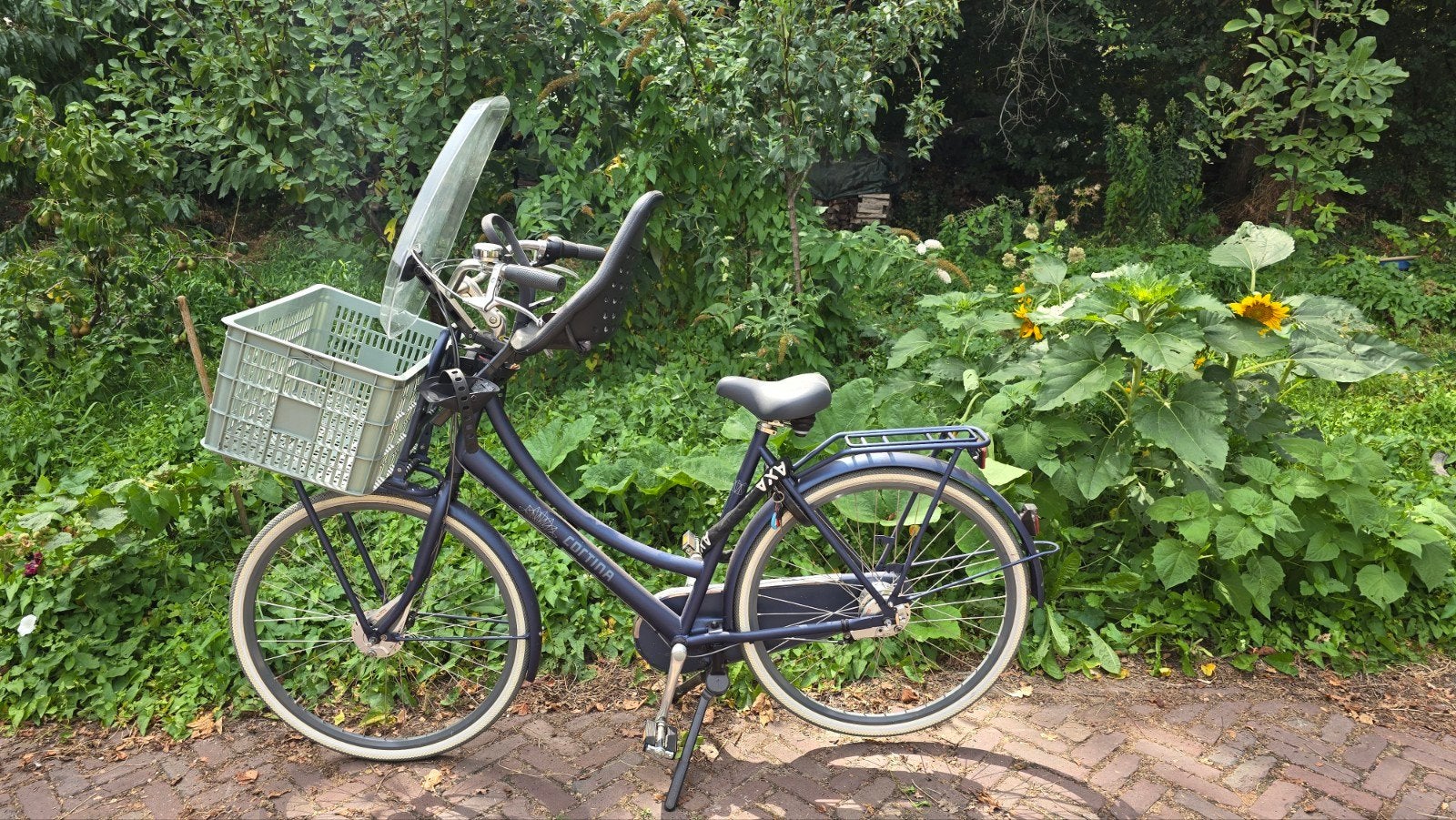 Cortina U4 Family fiets met kinderzitje en mand, Fietsen en Brommers, Fietsen | Dames | Damesfietsen, Velgrem, Versnellingen, Zo goed als nieuw