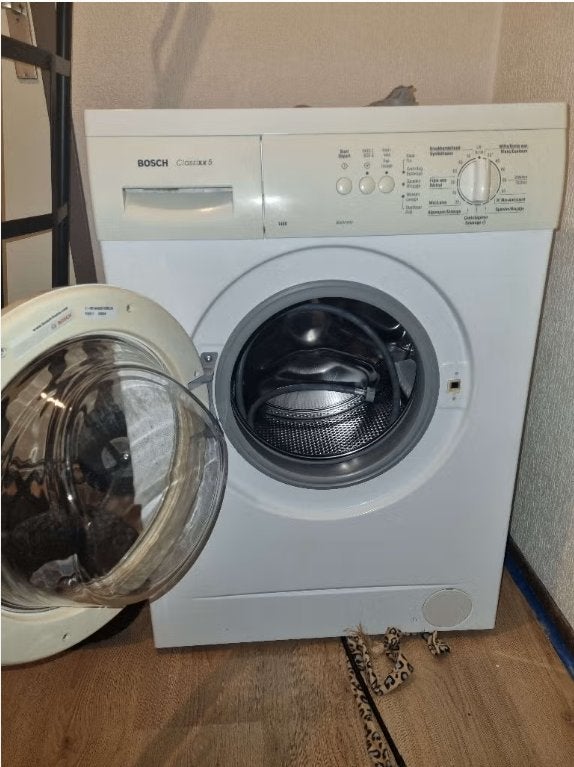 Bosch Classixx 5 wasmachine, Witgoed en Apparatuur, 8 tot 10 kg, Ophalen, Zo goed als nieuw, 85 tot 90 cm