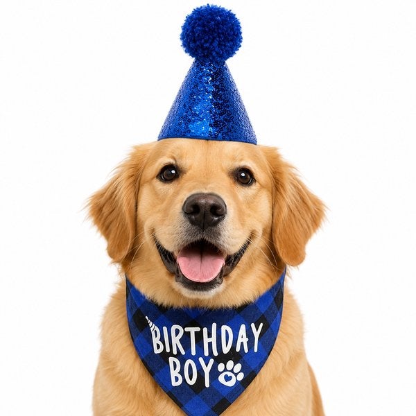 2-delige honden verjaardag set, Overige typen, Overige merken, Nieuw, Ophalen of Verzenden