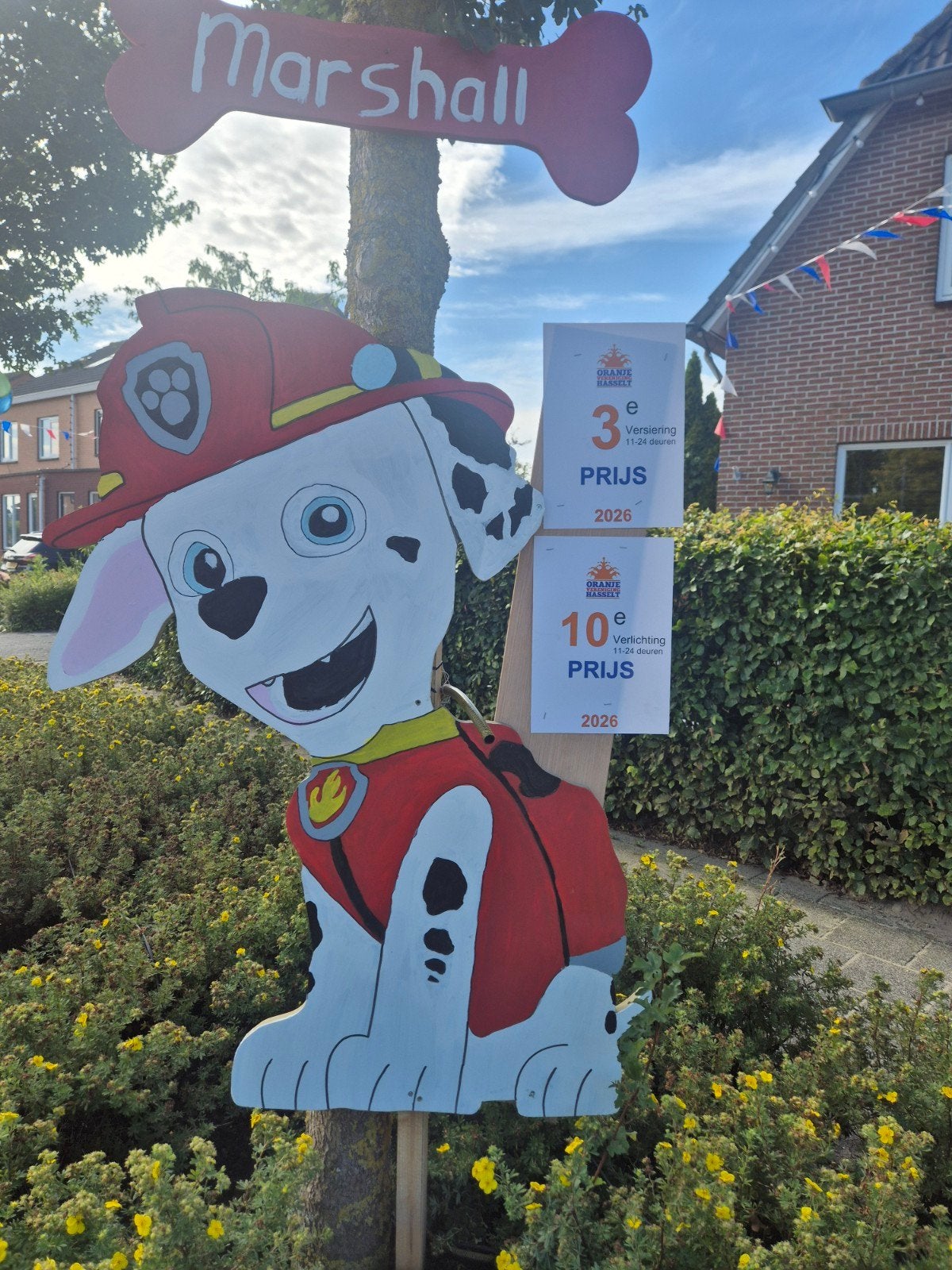 Paw Patrol Straatversiering LET OP! EXCLUSIEF VERLICHTING, Ophalen, Zo goed als nieuw, Hout