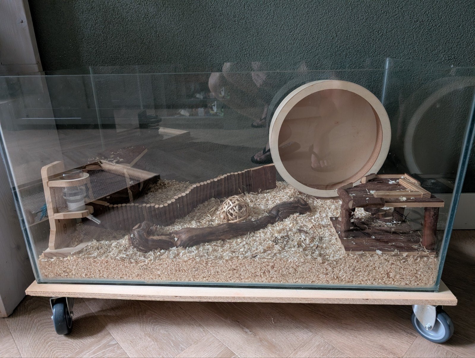 glazen hamster bak zeer complete set, Minder dan 60 cm, Ophalen of Verzenden, Zo goed als nieuw, Muis