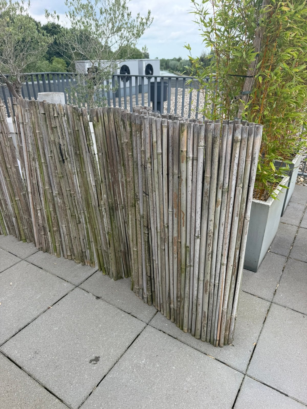 Bamboe afscheiding rekken, Tuin en Terras, Ophalen, Gebruikt, 100 tot 150 cm, 100 tot 150 cm