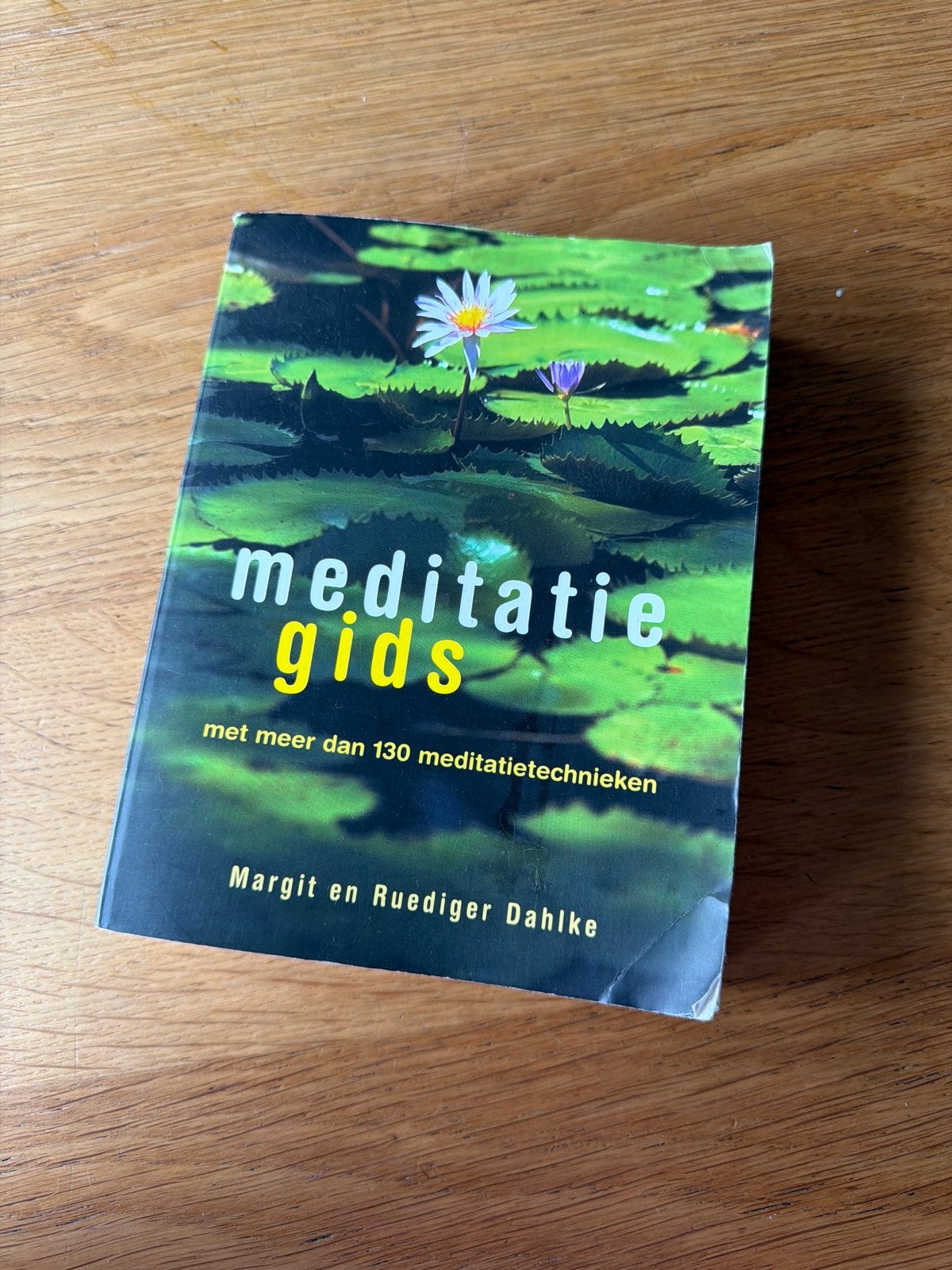 Meditatie Gids - Margit en Ruediger Dahlke, Ophalen of Verzenden, Gelezen, Meditatie of Yoga, Instructieboek