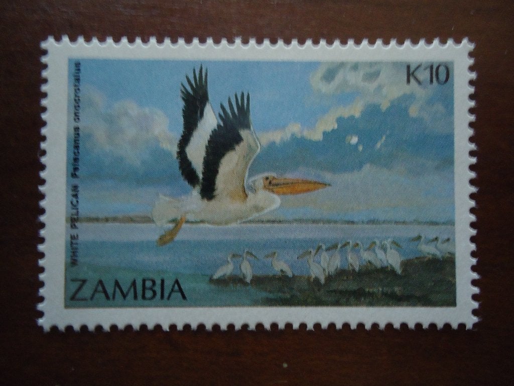 Vogel pelikaan Zambia 1987, mi. 407 postfris, Postzegels en Munten, Ophalen of Verzenden, Postfris, Dier of Natuur