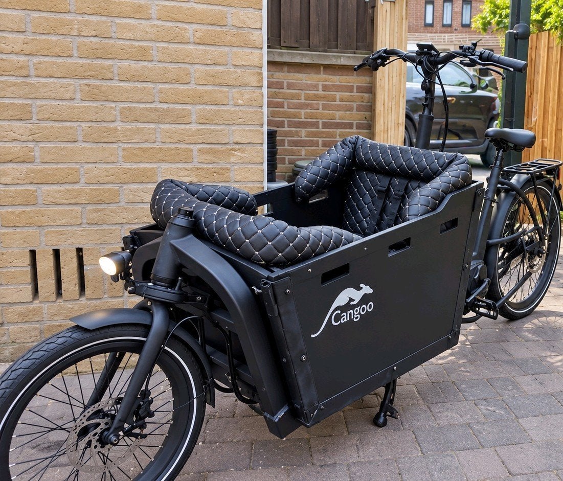 Mooie cangoo buzz bakfiets middenmotor electrisch -, Ophalen, Gebruikt, 2 kinderen, Huif