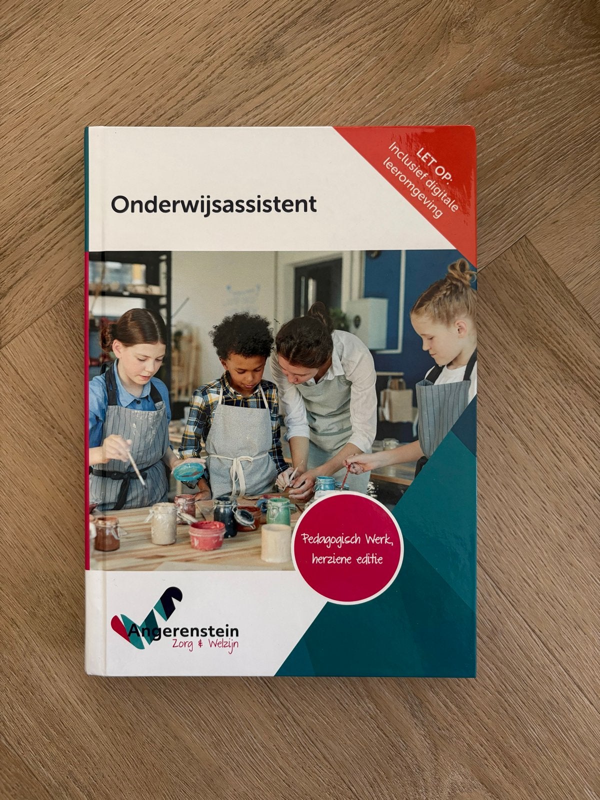 Onderwijsassistent - Pedagogisch Werk (herziene editie), Boeken, Schoolboeken, Ophalen of Verzenden, Nieuw, Overige niveaus, Overige vakken