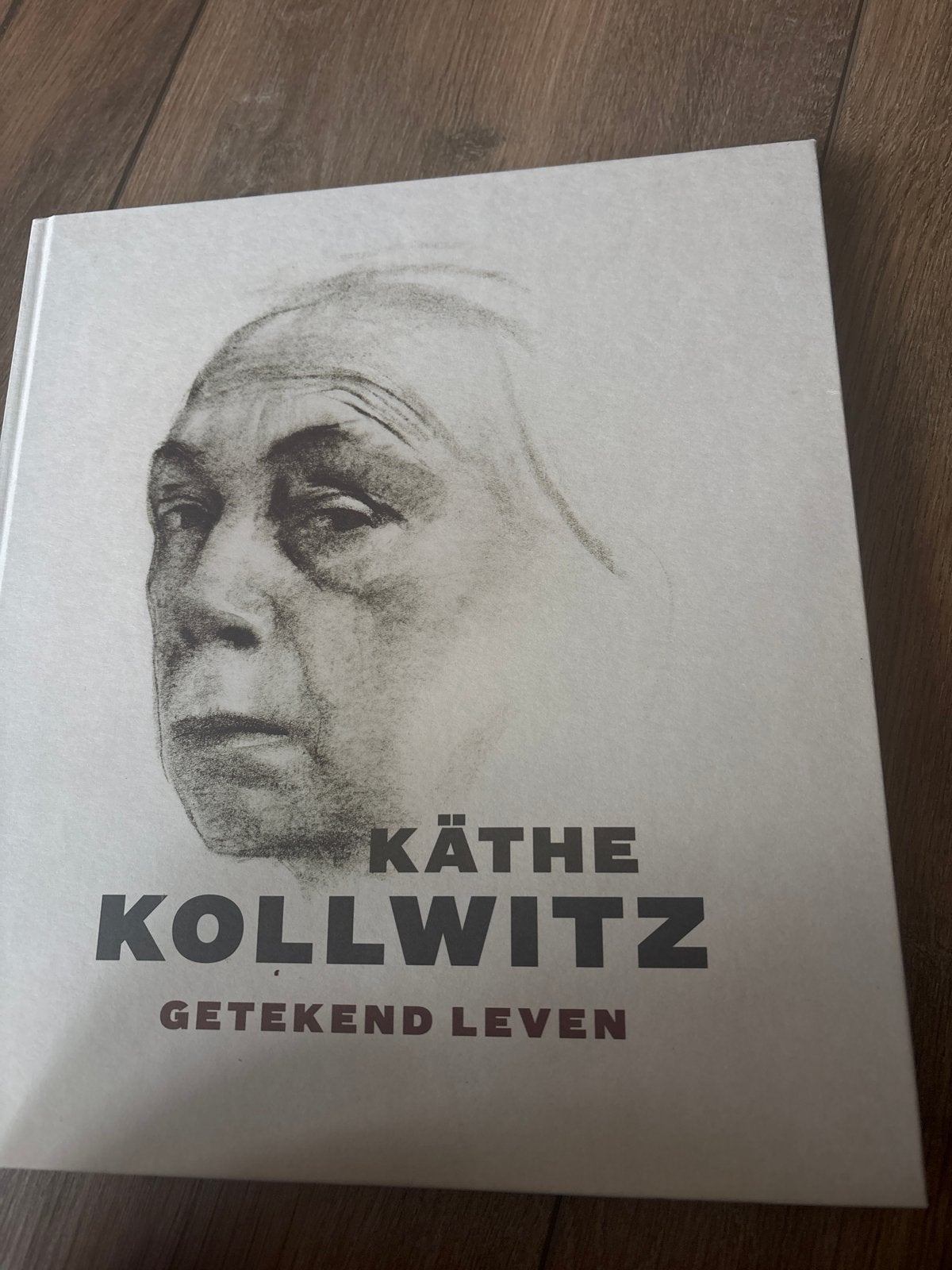 Käthe Kollwitz: Getekend Leven - Kunstboek Museum Belvédère, Boeken, Ophalen of Verzenden, Zo goed als nieuw, Schilder- en Tekenkunst