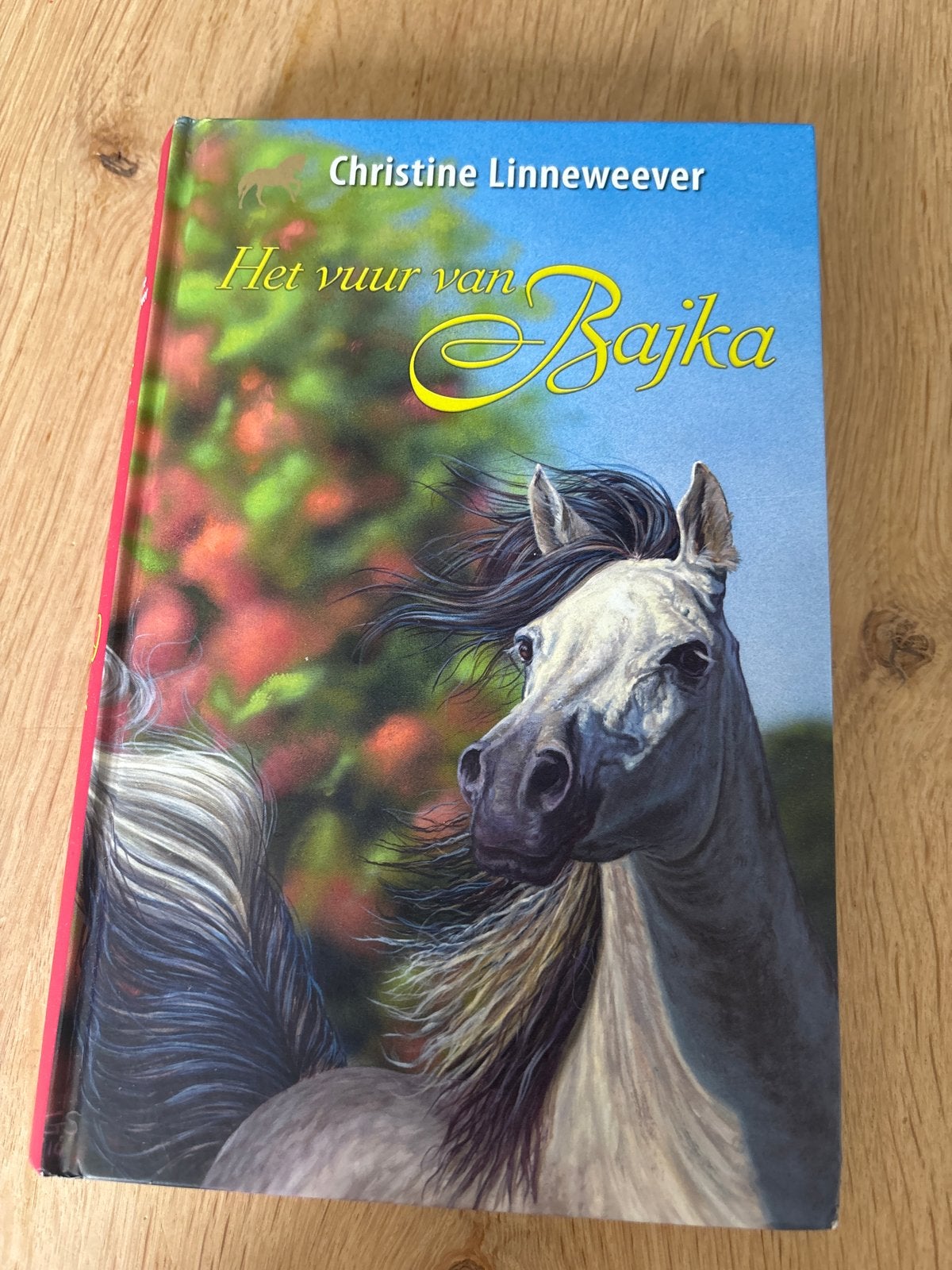 Het Vuur van Bajka - Christine Linneweever (Paardenboek), Ophalen, Zo goed als nieuw, Nederland