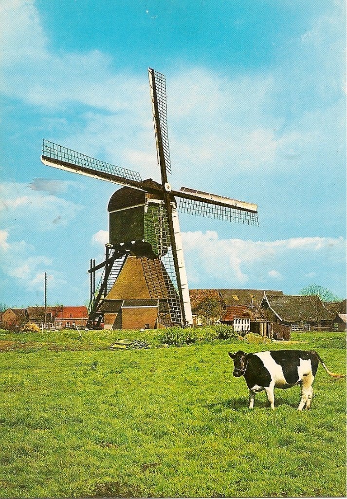 Ansichtkaart Bleskensgraaf, Poldermolen met koe, Ophalen of Verzenden, 1960 tot 1980, Ongelopen, Zuid-Holland