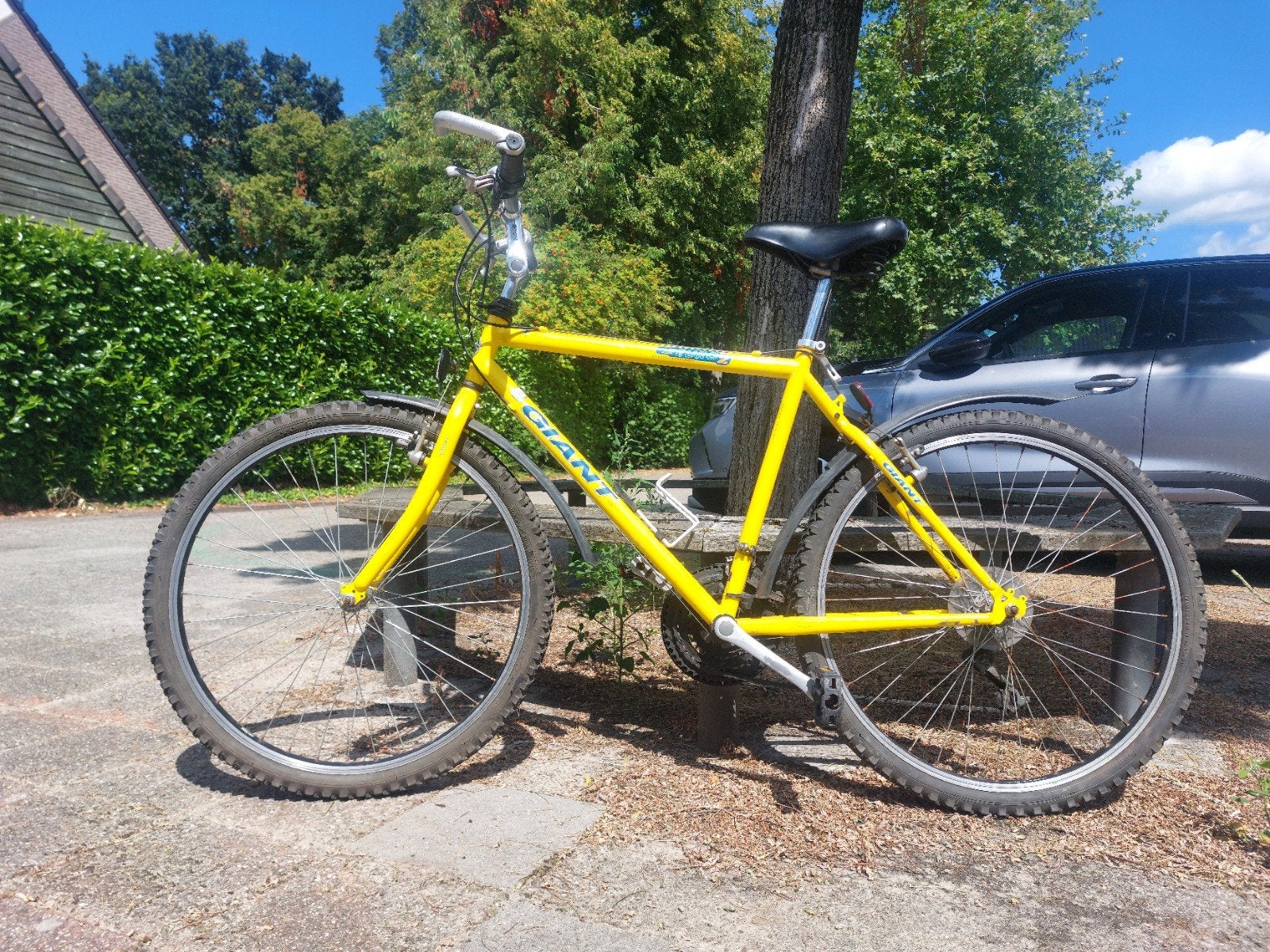 Giant mountainbike klassieker, Geen vering, Ophalen, Gebruikt, Giant