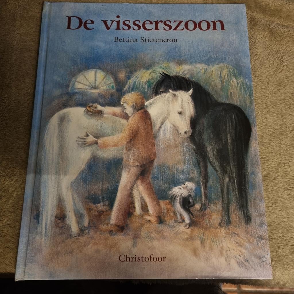De visserszoon - Bettina Stietencron, Ophalen of Verzenden, Gelezen