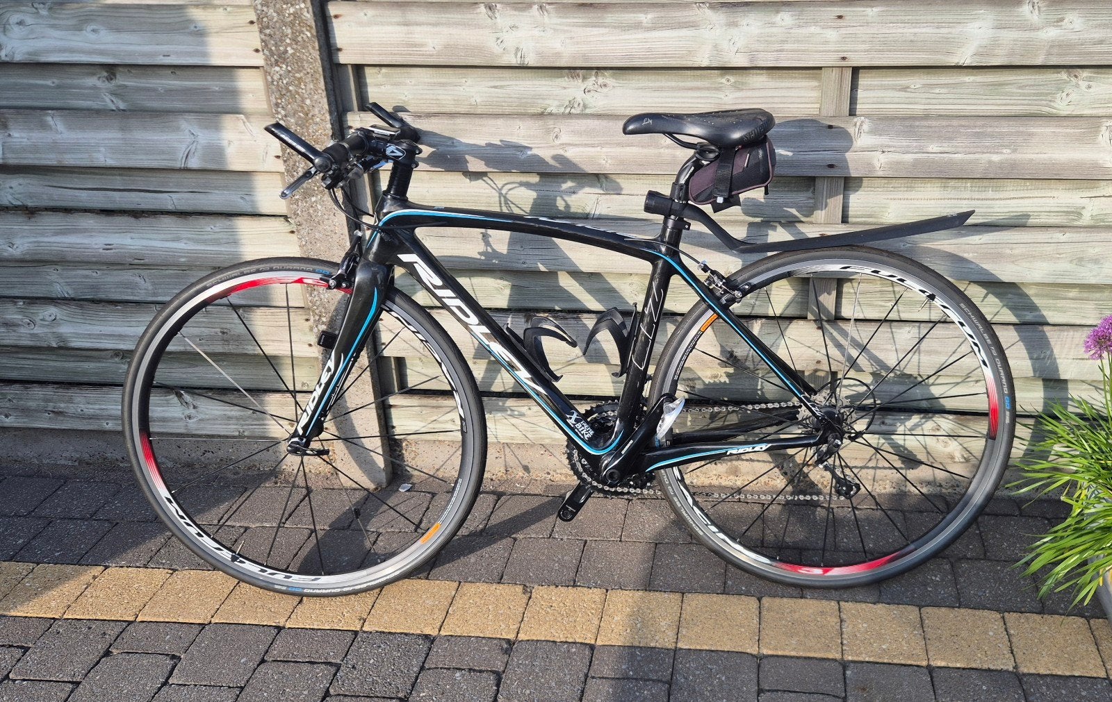 Ridley Liz Carbon damesfiets (Framemaat 44), Minder dan 49 cm, Zo goed als nieuw, Meer dan 20 versnellingen, Ophalen