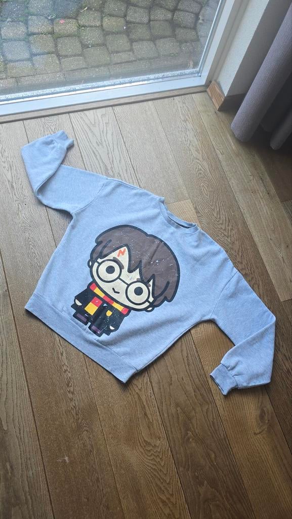 Trui Harry Potter maat S/M  38, Ophalen of Verzenden, Zo goed als nieuw, Maat 38/40 (M)