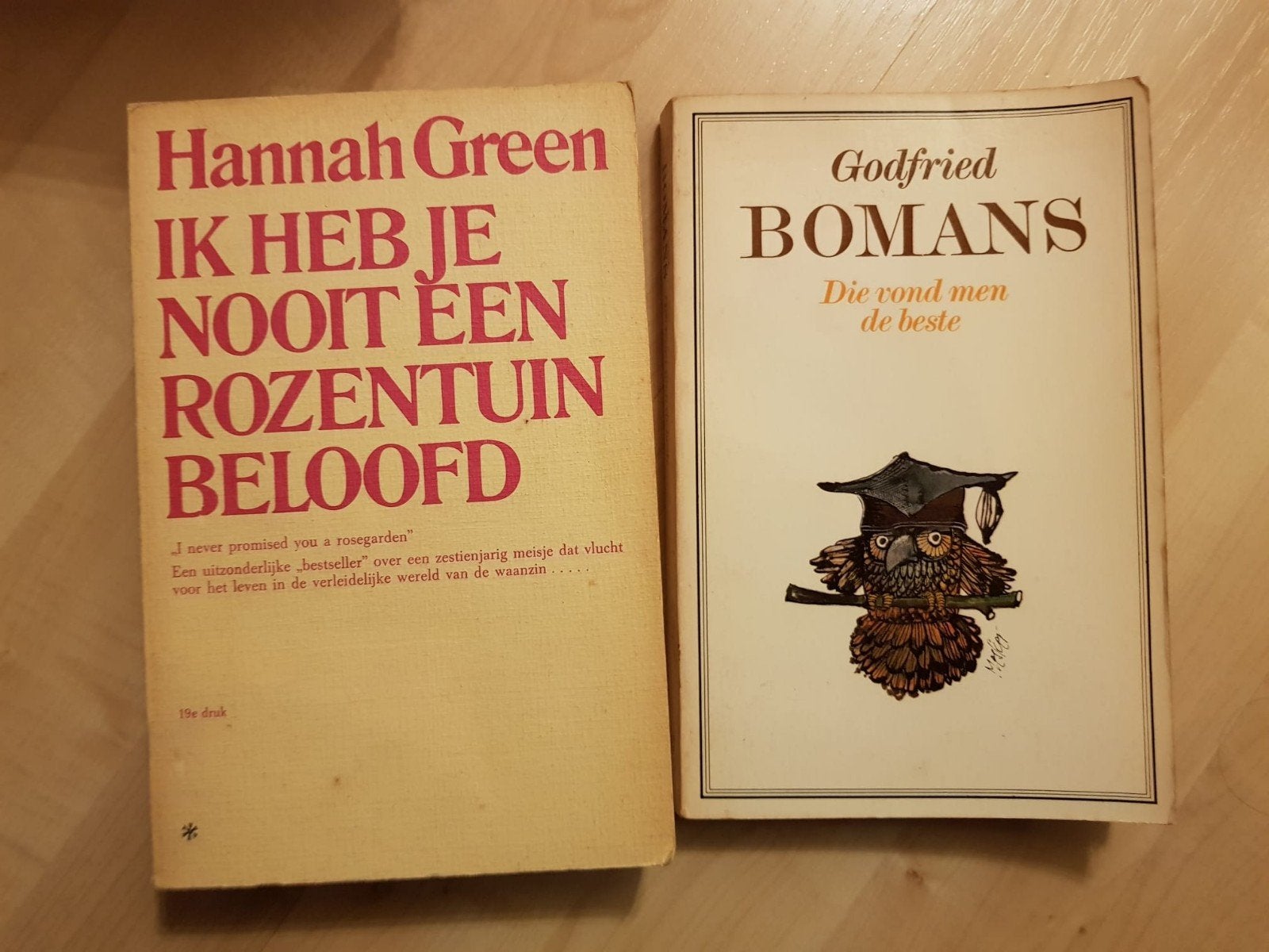 Boeken: Hannah Green - Ik Heb Je Nooit Een Rozentuin Beloofd, Ophalen of Verzenden, Gelezen, Hannah Green, Godfried Bomans, Nederland