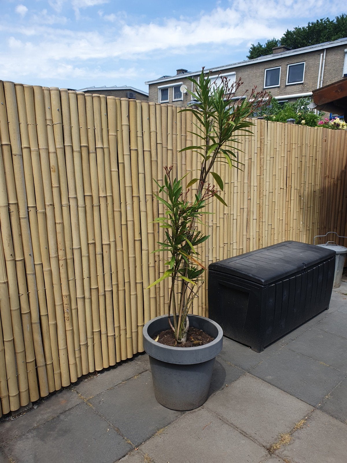 Bamboemat halfrond - 180x200 cm - Natuurlijk, Tuin en Terras, Schuttingen, Ophalen, Overige materialen, Minder dan 3 meter, 1 tot 2 meter