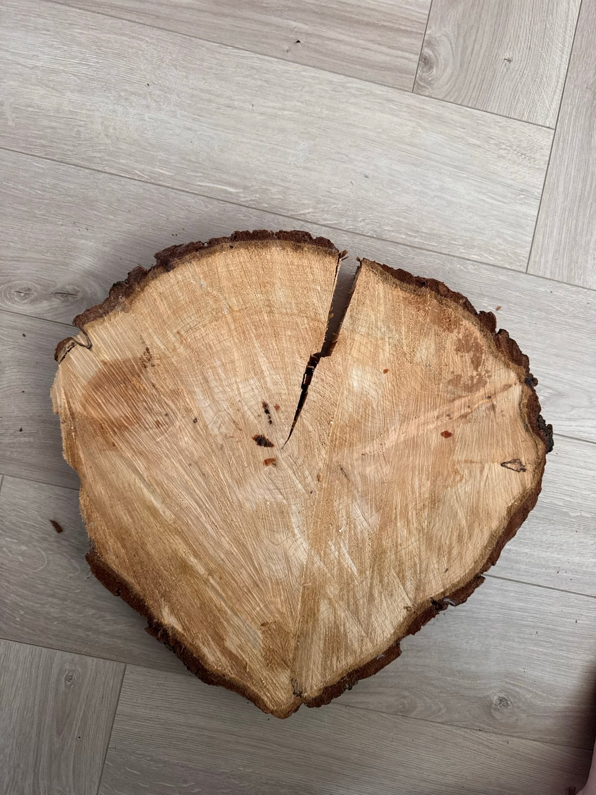 Boomstam blad - Decoratief houtschijf, Gebruikt, 25 tot 50 mm, Overige typen, Ophalen of Verzenden