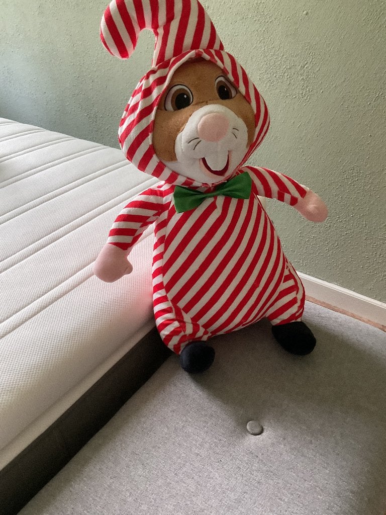 AH Hamster: Zuurstok groot, Ophalen of Verzenden, Zo goed als nieuw