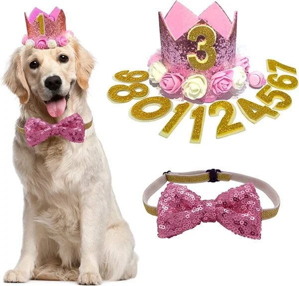 2-delige honden verjaardag set, Overige typen, Overige merken, Nieuw, Ophalen of Verzenden