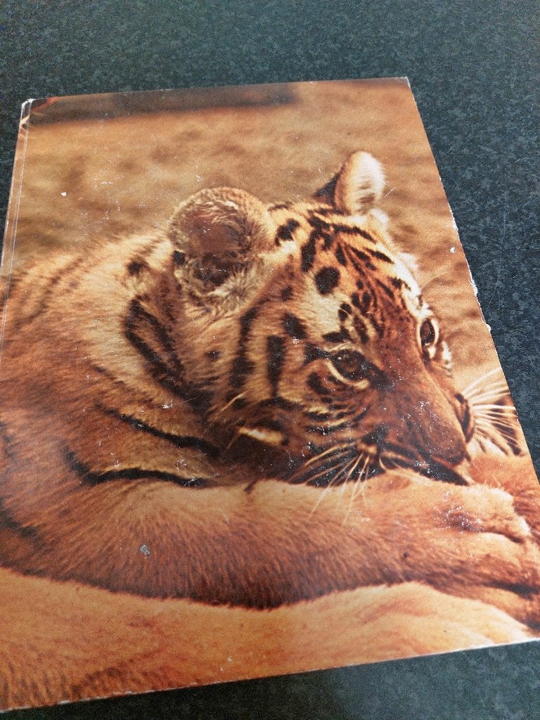 Plaatjesalbum Ouwehands Dierenpark Rhenen, Boeken, Ophalen, Gelezen, Overige onderwerpen