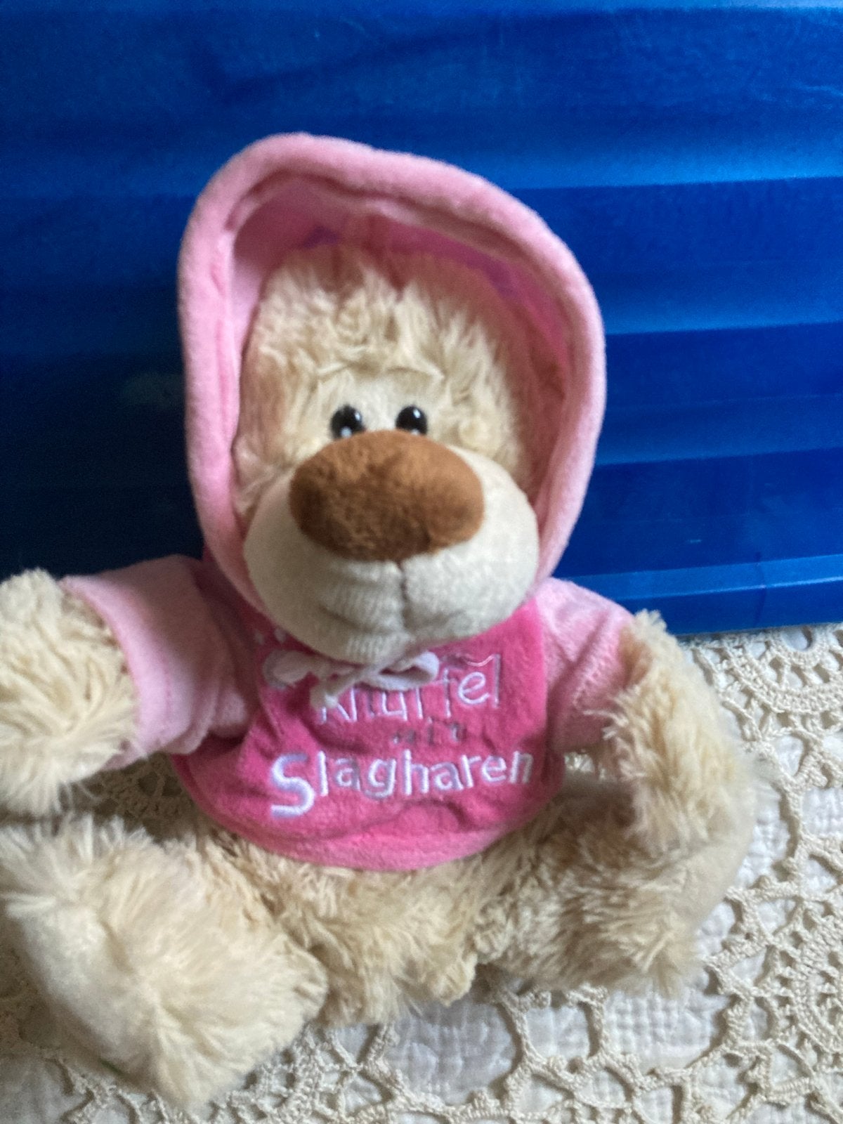 Leuke knuffelbeer met roze hoodie - 'Knuffel uit  Slagharen', Overige merken, Overige karakters, Beer, Ophalen of Verzenden