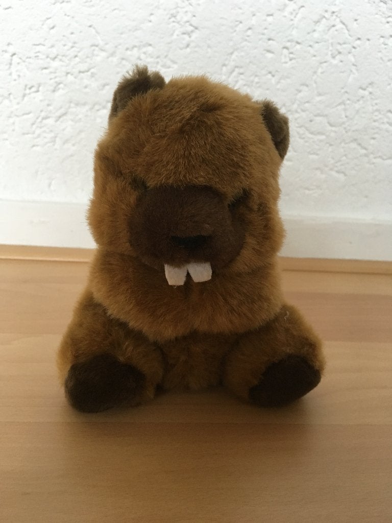 Knuffel bever, Ophalen of Verzenden, Zo goed als nieuw, Overige typen