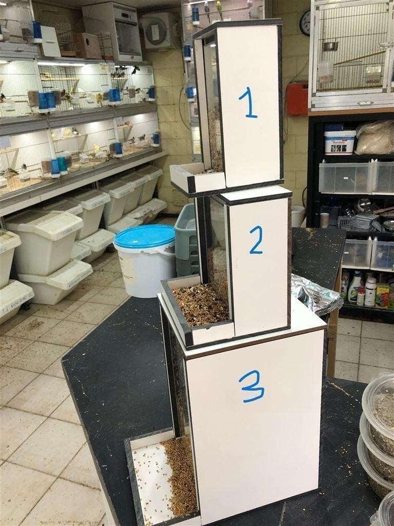 Voersilo\'s van trespa en Plexiglas in verschillende afmetin, Meerdere dieren, Wildzangvogel