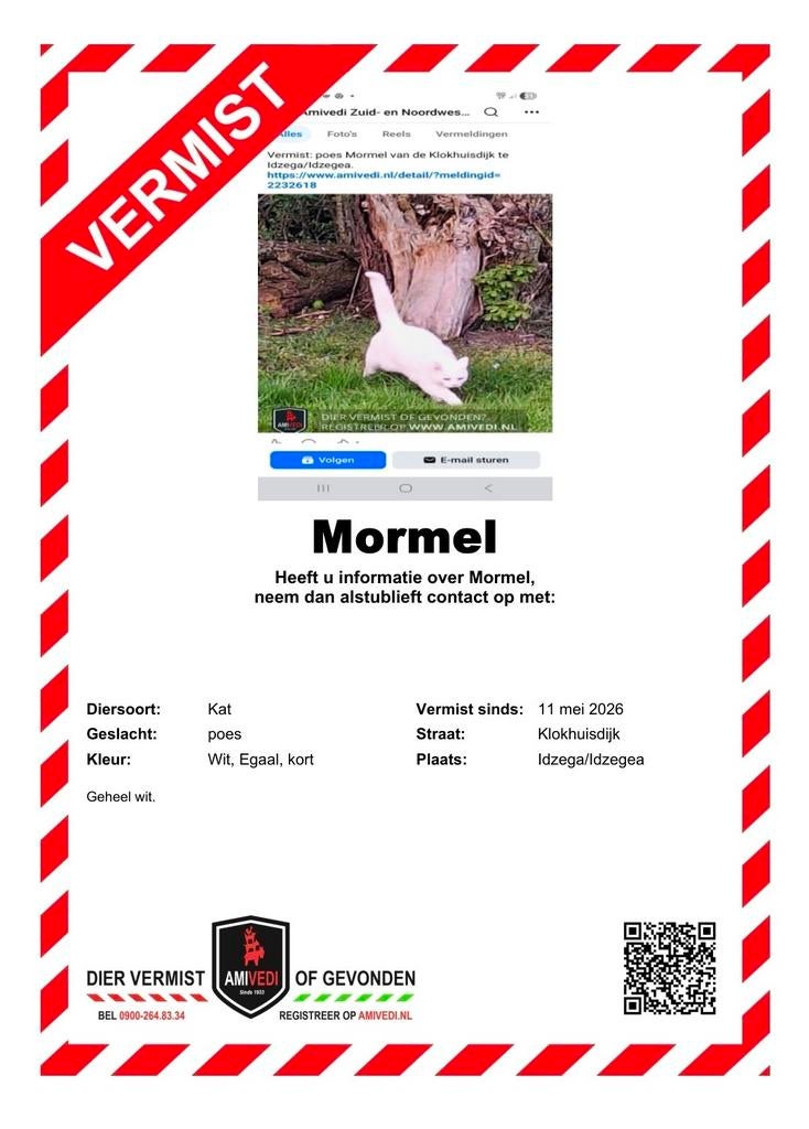 Witte Poes vermist IDZEGA