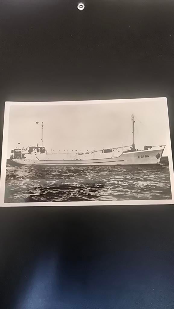 Ansichtkaart m.s. Egina - Zaandam Scheepsbouw, Verzamelen, Ophalen of Verzenden