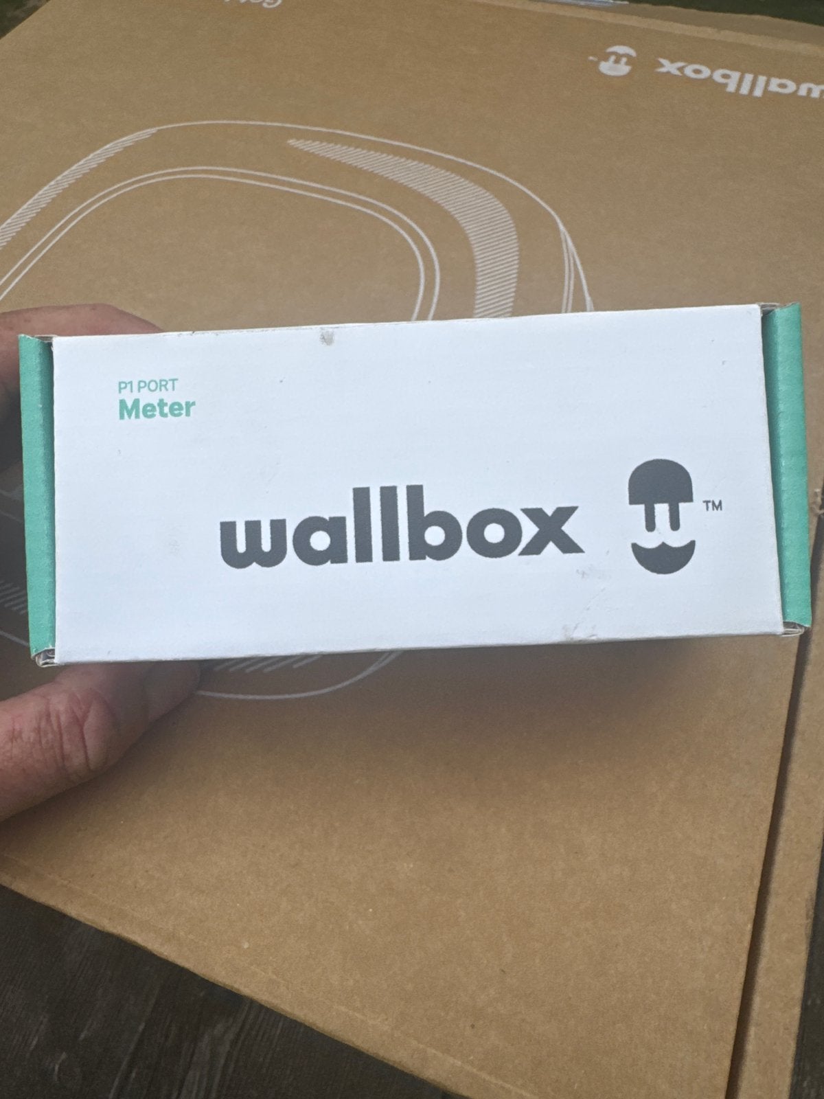 Wallbox P1 Port Meter - loadbalancing module (MTR-P1PORT), Ophalen of Verzenden, Nieuw, Laadpaal