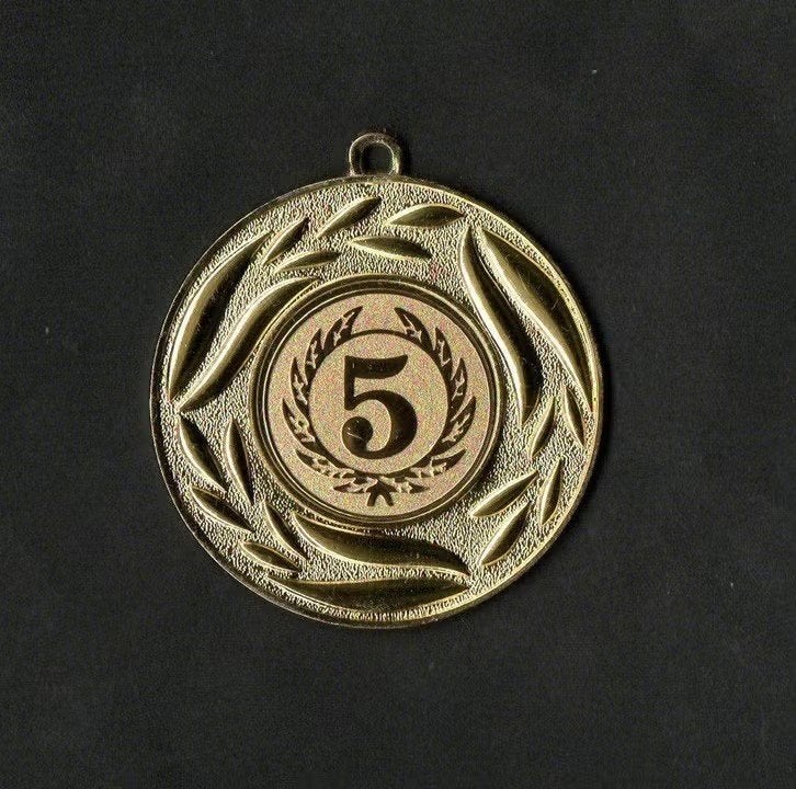 Medaille Steenwijk 5e Avondvierdaagse Goud., Ophalen of Verzenden, Zo goed als nieuw