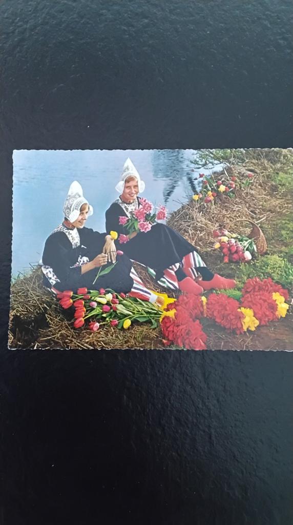 Vintage Ansichtkaart: Hollandse Klederdracht en Tulpen, Ophalen of Verzenden, 1940 tot 1960, Gelopen, Noord-Holland